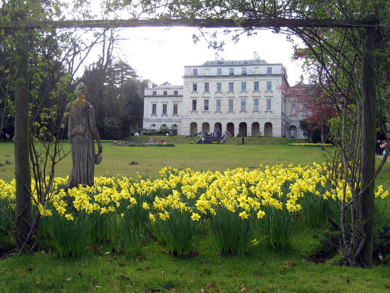 Daffodils, Shotover House Garden
