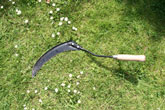 Scythe Or Sickle
