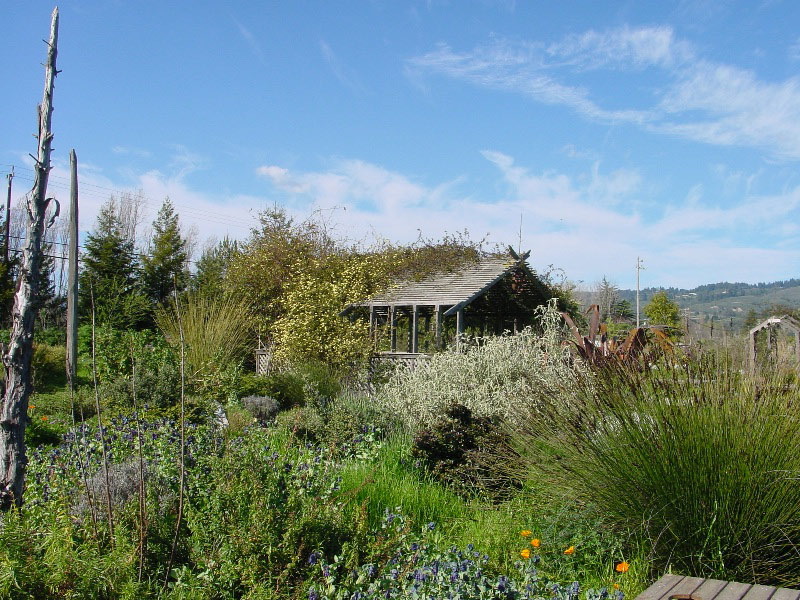 Sierra Azul Garden