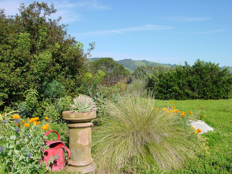 Sierra Azul Garden, Watsonville