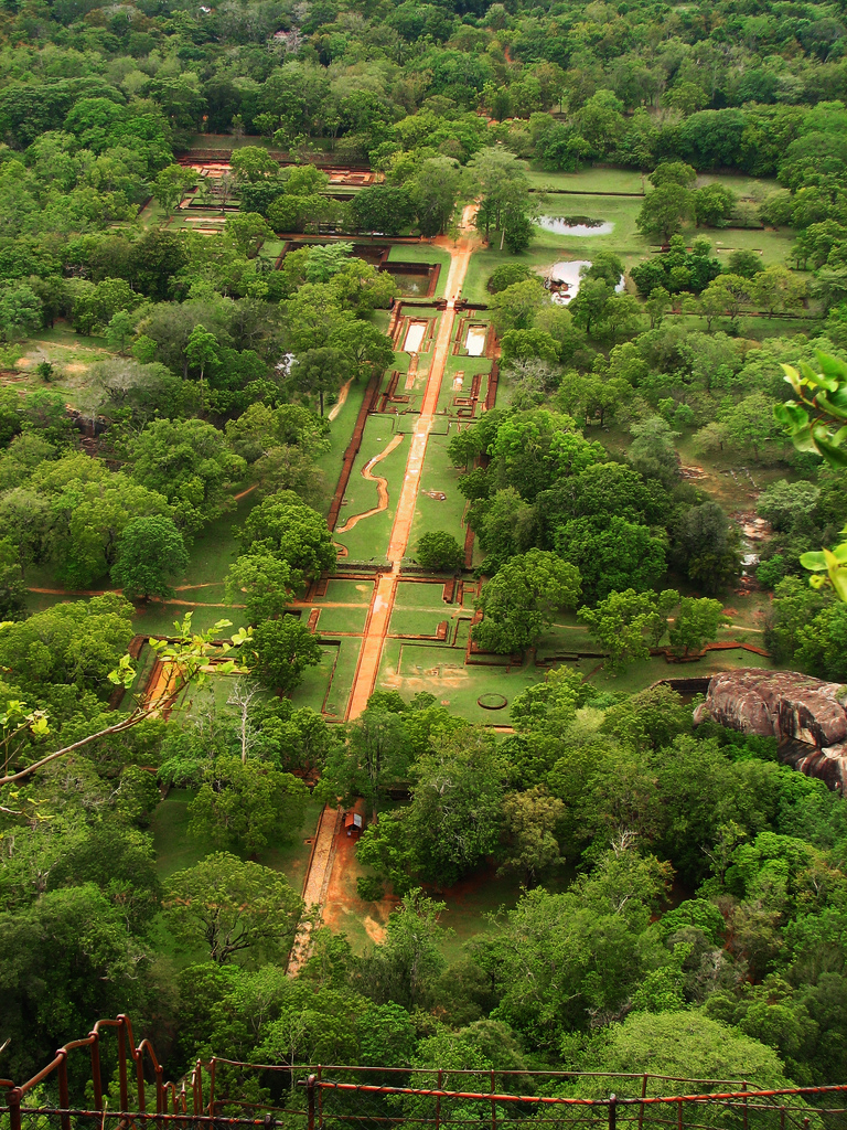 Sigiriya McKay Savage