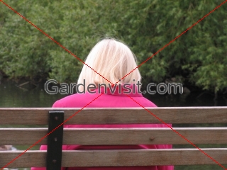 Silver Hair Park