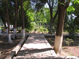 Sitoraimakhikhosa1