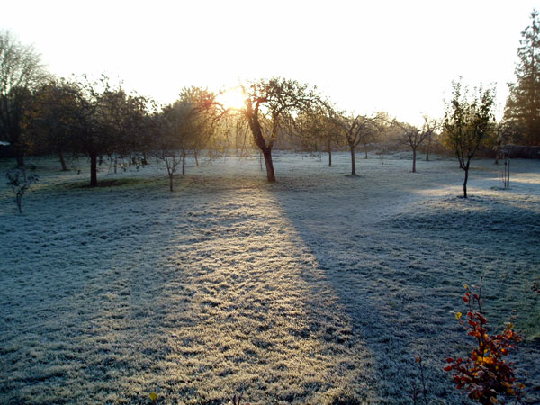 Sizergh Castle Garden in Autumn