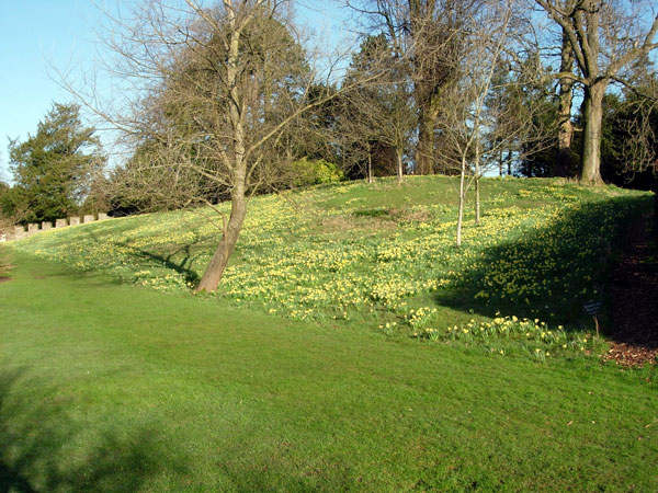 Sizergh Castle Garden, Cumbria