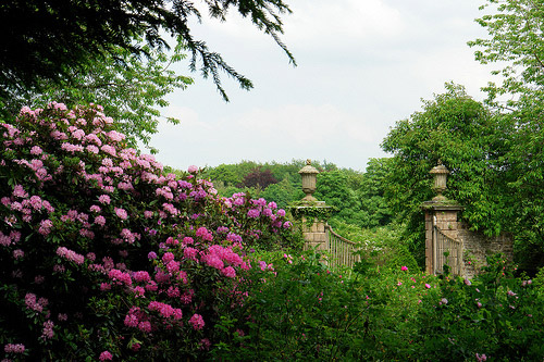 Sizergh Castle Garden in June