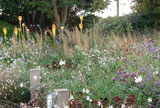 Slate Garden Design, Hampshire