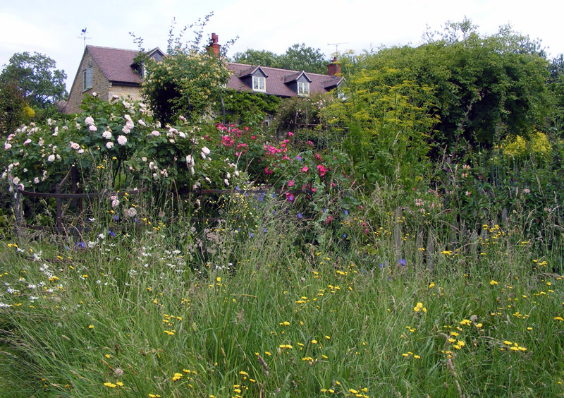 Snape Cottage Plantsman's Garden, Dorset