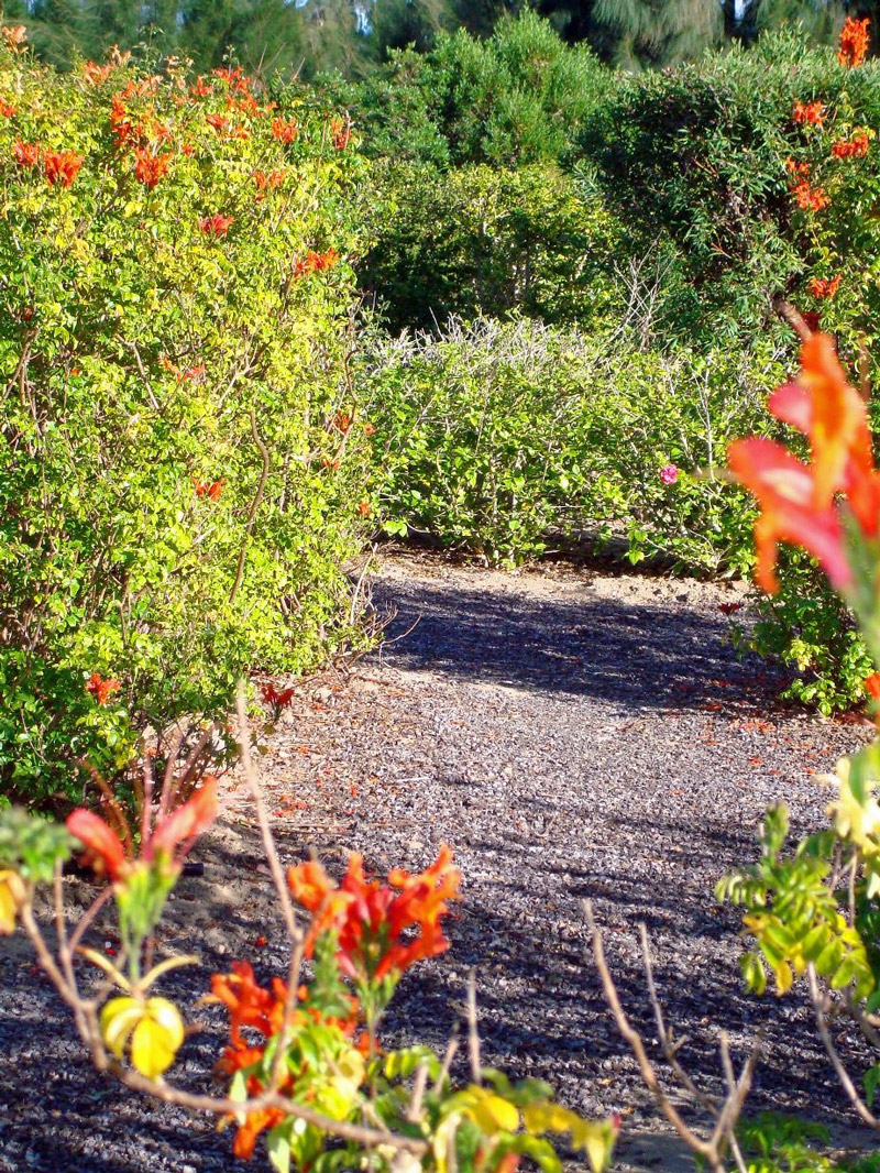 Soekershof Walkabout Mazes and Botanical Gardens, Robertson