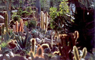 Soekershof walkabout garden