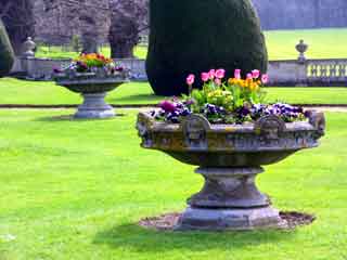 Somerleyton hall garden2
