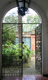 South American Garden