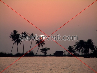 South Kerala Sunset