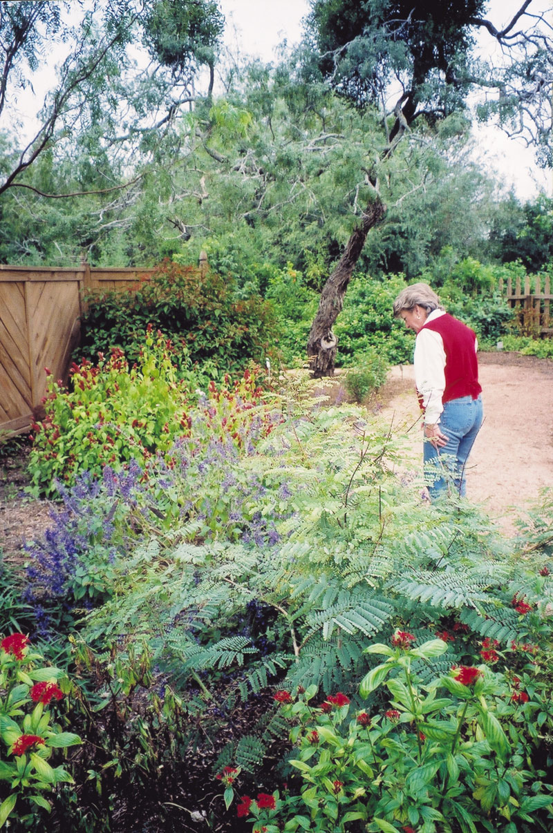 Hummingbird Garden, South Texas Botanical Gardens