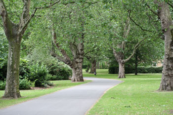 Southwark Park