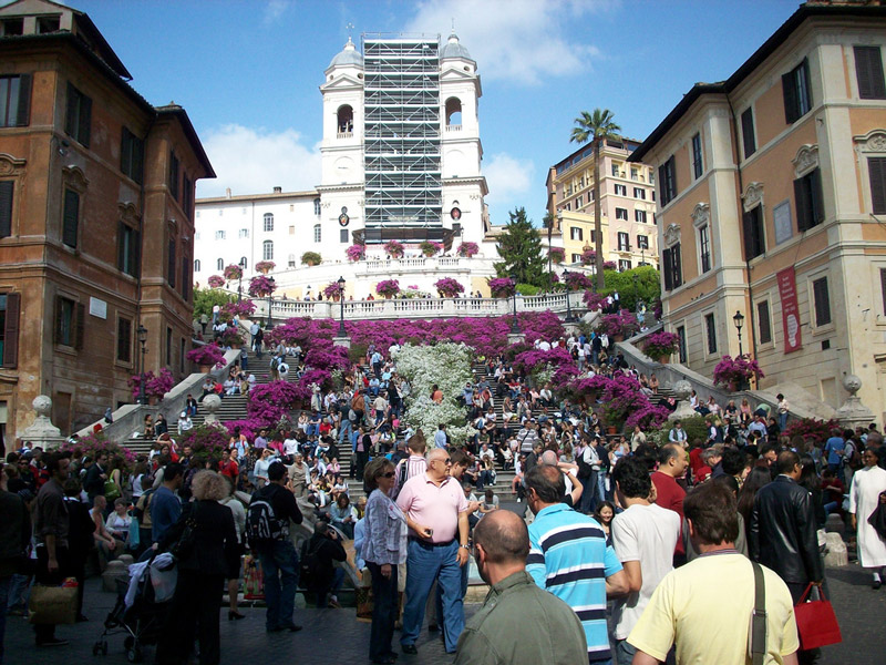 Azaleas, Spanish Steps