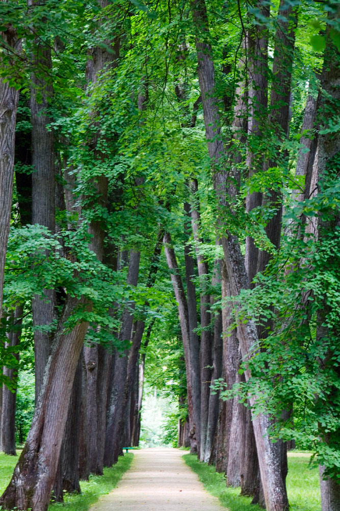 Spasskoye-Lutovinovo, Orel