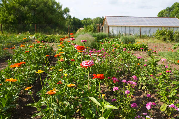 Spasskoye-Lutovinovo