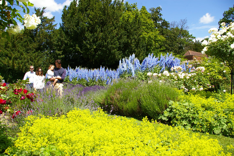 Spencers Garden