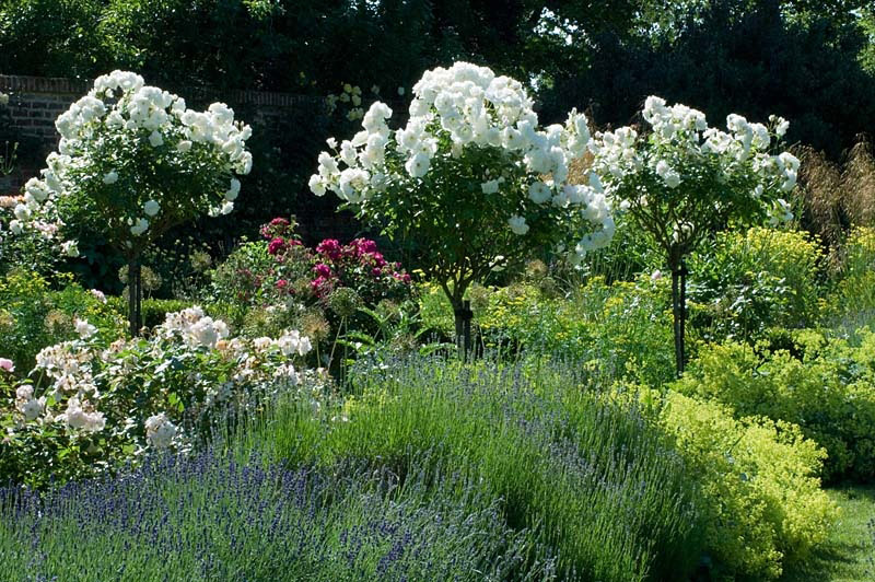 Spencers Garden, Essex