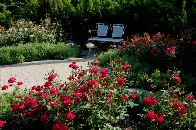 Springhouse Gardens