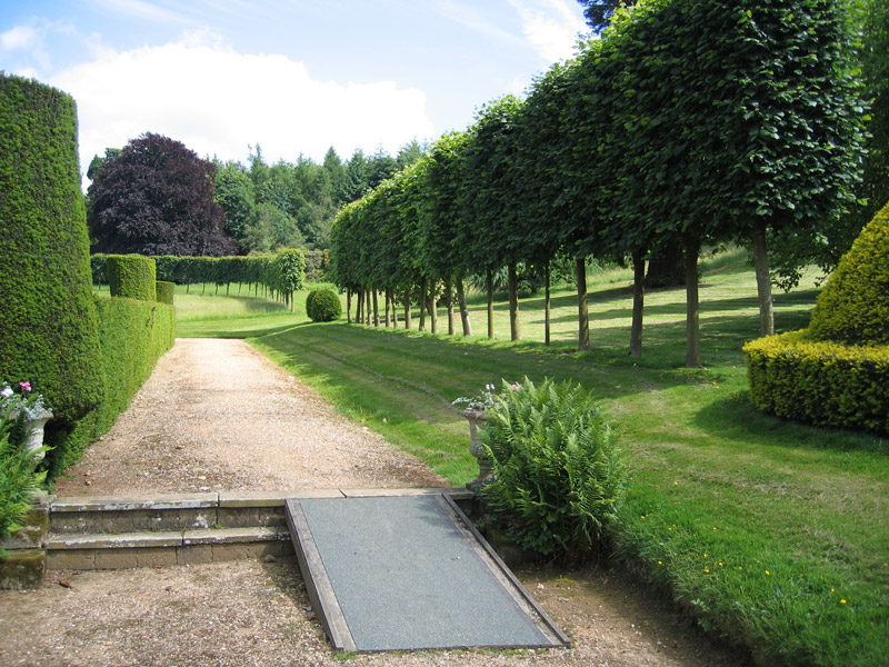 Pleached Limes, Squerryes Court Garden