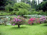 Botanical gardens, Sri Lanka