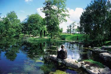 St fiachras garden