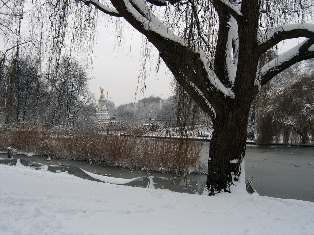 St James's Park, February 2009