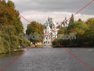 St James Park