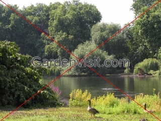 St James Park Lake