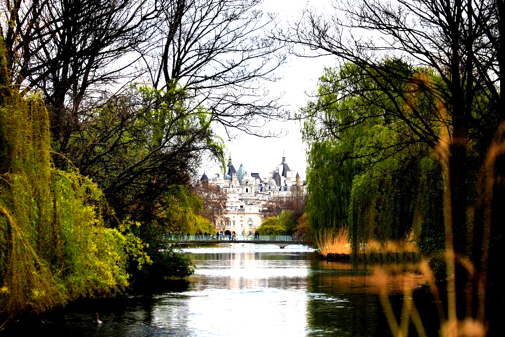 St James's Park Garry Knight