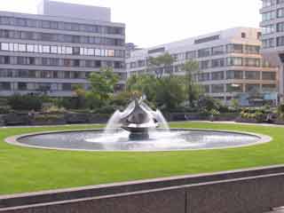 St thomas hospital garden1