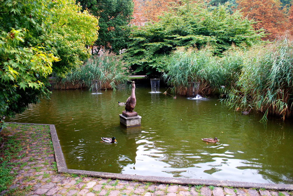 Lake, Stadtgarten Freiburg