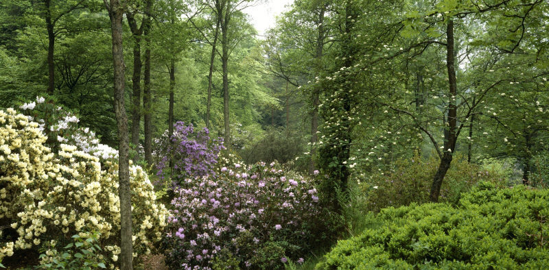 Stagshaw Garden, Cumbria
