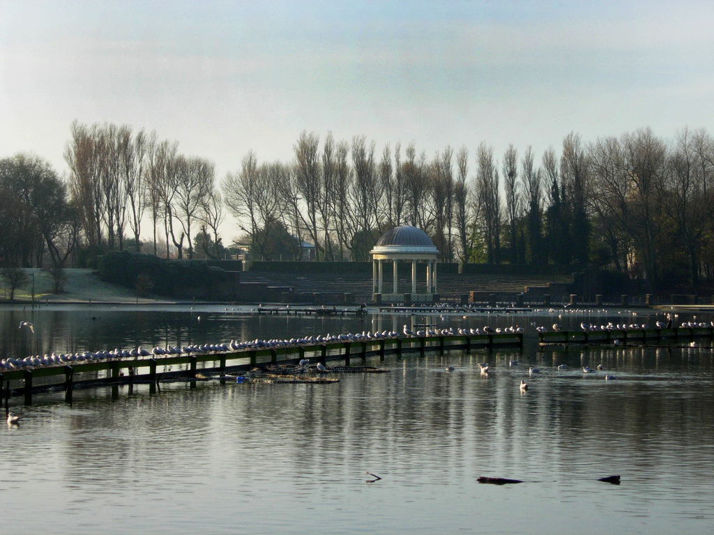 Stanley Park Killer Biscuit