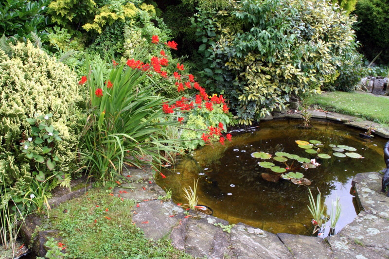 Pond, Stapeley Water Gardens