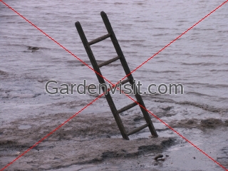 Step Ladder