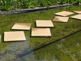 Slabs as stepping stones