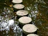 Stepping stones in water