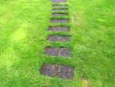 Stepping stones in grass