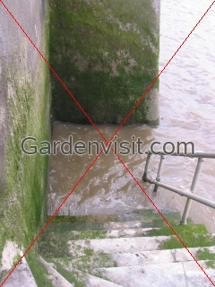 Steps to Water