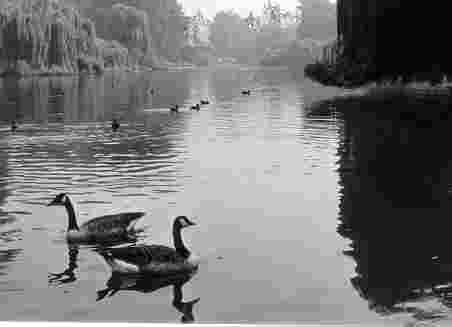 St. James's Park