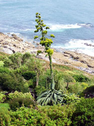 Stmichaelsmountcornwall