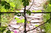 Stone path