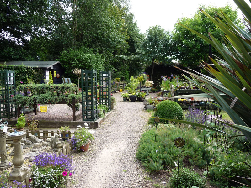 Stonyford Cottage Nursery, Cheshire