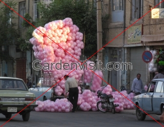 Street Baloons Iran