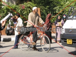 Cyclist in Luxor street