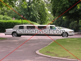 Stretch Limo