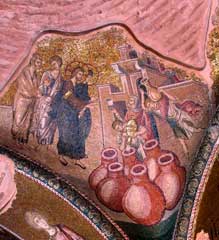 Stsaviourinchora
